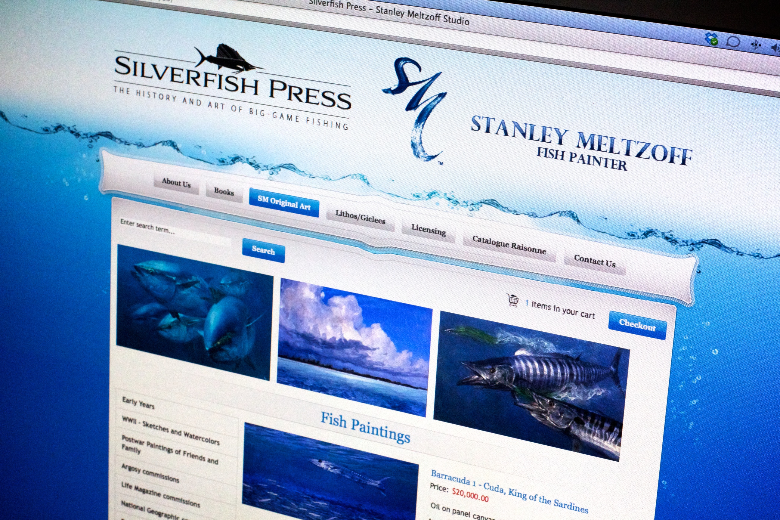 Silverfish Press Website - do you need a new website?